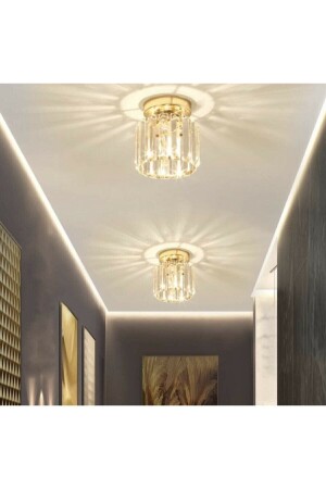 Arosa Model Luxury Koridor Salon Hol Antre Çocuk Odası Plafonyer Şık Lüks Gold Avize Ultra Home MSL - 4