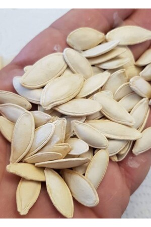 Ata Seed Lokaler natürlicher Snack Kürbiskerne Ürgüp Lady Nail Seed 20 Gemüsesamen - 1