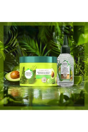 Avocadoöl- und Aloevera-Maske 450 ml - 5