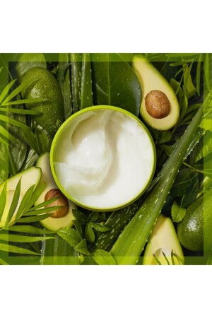 Avocadoöl- und Aloevera-Maske 450 ml - 6