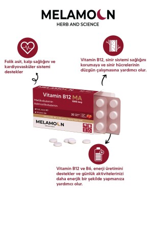 B12 – B6 und Folsäure: Nervensystem – Schwangere und Blutbildung unterstützen 1000 mcg - 3