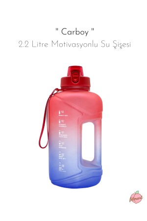 Ballonflasche - 2. 2 Liter motivierende Wasserflasche carboy001 - 2