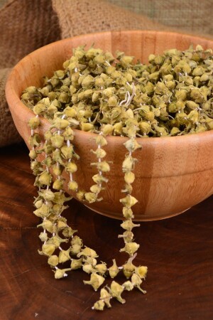 Bamya Kurusu - 100gr - Halal