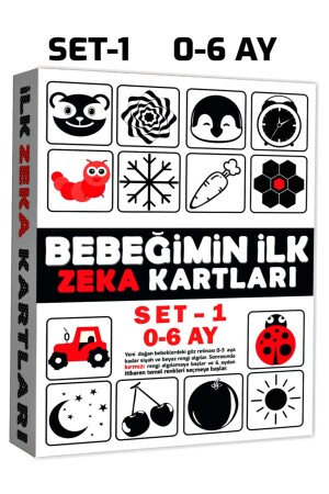 Bebeğimin Ilk Zeka Kartları Set-1 - 0-6 Ay - Avda