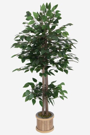 Benjamin-Baum 120 cm extra dichtes Blatt (MIT HOLZTOPF) - 2