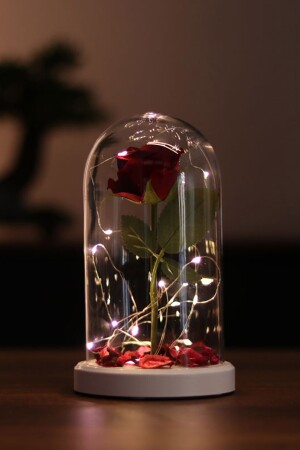 Besonderes romantisches Geschenk für Verliebte, rote Rose beleuchtete Glaslampe FNS-74 - 2