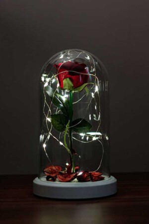 Besonderes romantisches Geschenk für Verliebte, rote Rose beleuchtete Glaslampe FNS-74 - 3