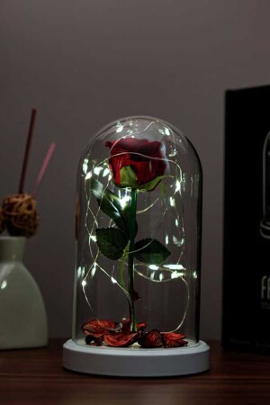 Besonderes romantisches Geschenk für Verliebte, rote Rose beleuchtete Glaslampe FNS-74 - 4