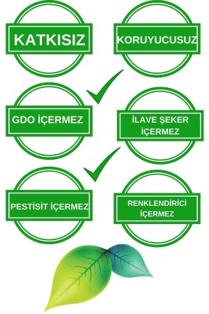 Bio-Bey-Tonic Triple (Kurkuma-Ingwer) - 4