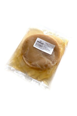 Bio-Kombucha-Pilz Kombucha SCOBY - Kombucha - Kombucha-Kulturhefe - 1