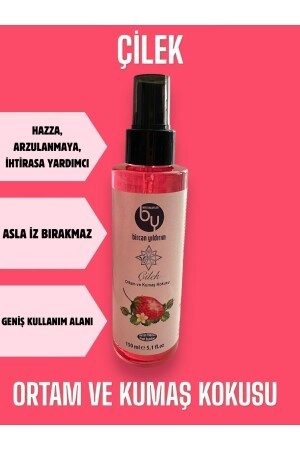 الحازة الرغبة في الرغبة في الرائحة الفولاذية المساعدة غرفة - Bircan Yıldırım Niyet Bulutları