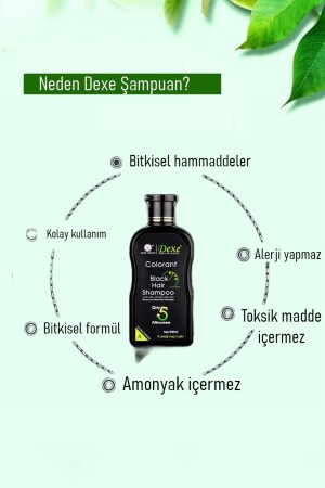 Black Hair Shampoo Saç Siyahlaştırıcı Şampuan Seti 200ml 200ml - 6