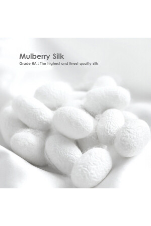 Boby Silk - %100 Saf Ipek Çift Kişilik Lüx Nevresim Takımı - %100 Sılk Luxury Double Duvet Cover TYC00819207464 - 3