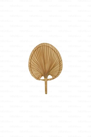 Bohem Palmiye Yaprağı- Japon Yelpazesi 19x28 Cm- Duvar Dekorasyon- Duvar Süsü- Iskandinav- Modern- - Naturel Home