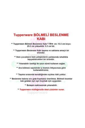 Bölmeli Beslenme Kutusu Mavi Sağlıklı Beslenme Kabı Hsgl Mavi 1493-3153 - 3