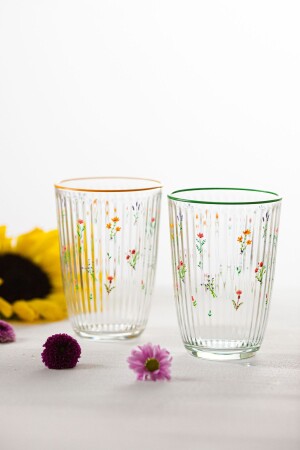 Botanical 4-teiliges Softdrink-Glas-Set 395 cc 301. 01. BOT5031804RKL - 2