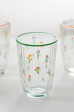 Botanical 4-teiliges Softdrink-Glas-Set 395 cc 301. 01. BOT5031804RKL - 6