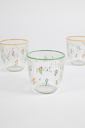 Botanisches 4-teiliges Wasserglas-Set 290 cc - 5