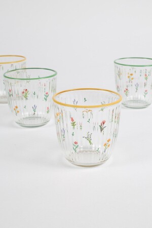 Botanisches 4-teiliges Wasserglas-Set 290 cc - 6