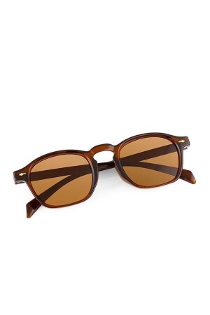 Braune Unisex-Sonnenbrille APSI001302 APSI001302 - 2