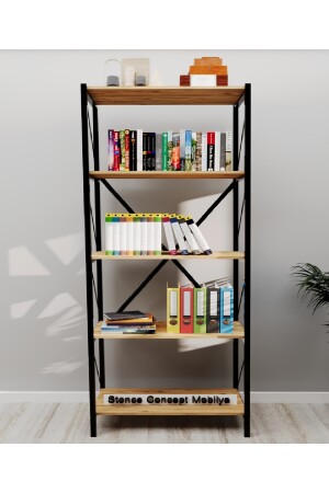 Bücherregal mit 5 Regalen Concept Rafofis Home File Bücherregal Atlantikkiefer 150 cm STNTY00029 - 2