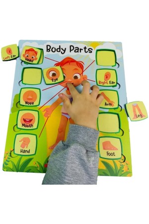 Bul Ve Tak Ingilizce Eğitici Çocuk Oyuncak Puzzle Yapboz Vücüt Organları - 5