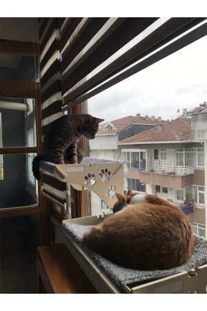 Büyük Boy Ahşap Cama Yapışan Kedi Yatağı Vantuzlu - 1