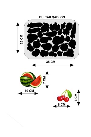 Buzdolabı Eğitici 3'lü Set Manyetik Hayvanlar - Meyveler -taşıtlar Manyetik Bultak Şablon Aktivite 3MHAYMEYTAS - 6