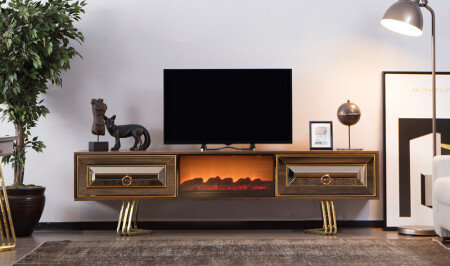 وحدة تلفزيون 