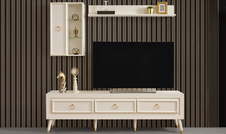 وحدة تلفزيونية 