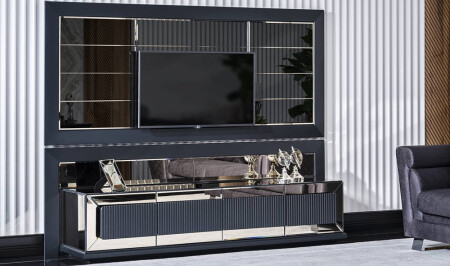 وحدة تلفزيون 