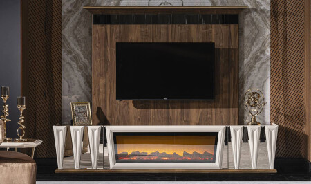 وحدة تلفزيون 