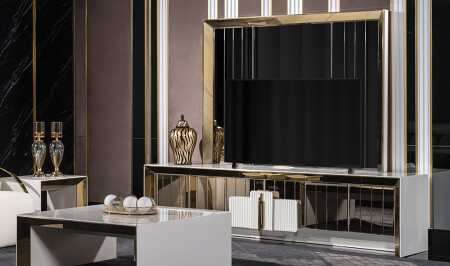 وحدة تلفزيون 