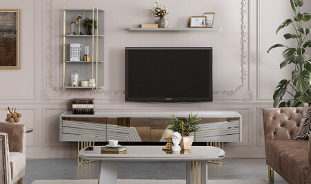 وحدة تلفزيون 