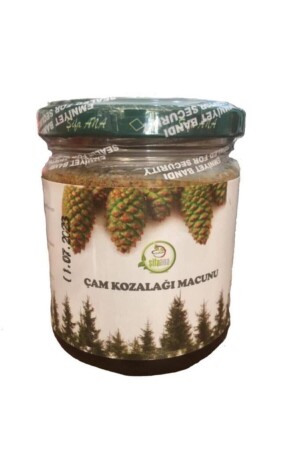 Çam Kozalağı Macunu 240 Gr - 2