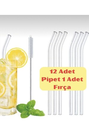 Cam Pipet 12 Adet - 1 Adet Temizleme Fırçası Isıya Dayanıklı Eğimli Pipet - 1