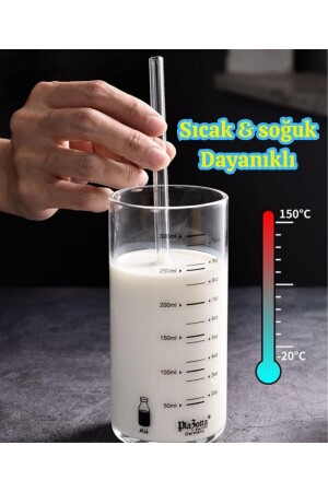 Cambu 6-teilige Glasstrohhalme aus Thermosilikat (hitzebeständig) und 1 Pipettenreinigungsbürste 1. Qualität - 5