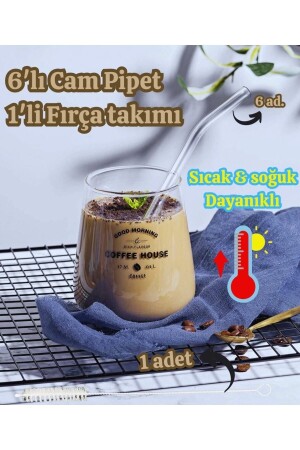 Cambu 6'lı Cam Pipet Termosilikat (ısıya Dayanıklı) Ve 1 Adet Pipet Temizleme Fırçası 1. Kalite - 3