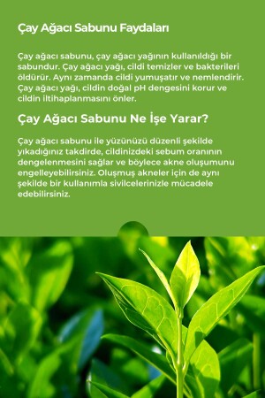 Çay Ağacı Sabunu Natural Sivilce Ve Akne Karşıtı 120 Gr. - 3