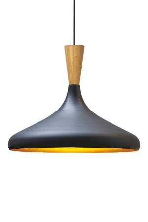 Champion Schwarzer hölzerner Trichter-Einzel-Kronleuchter, Hängelampe, Wohnzimmer, Küche, Café, Boutique-Lampe, Beleuchtung, Kronleuchter, BMM2066H - 6