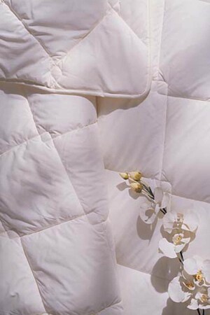 مادة من المادة المختلفة من المادة المختلفة - Taç