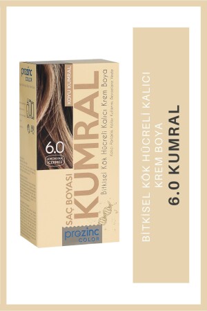 Color 6.0 Kumral - Amonyaksız Bitkisel Kalıcı Saç Boyası - Prozinc