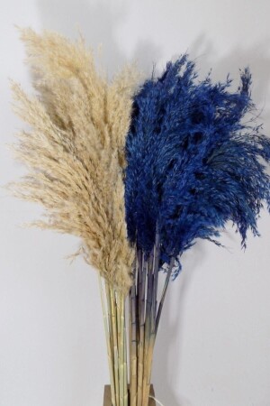 Cremeblaue Pampas 20 Stück 120 cm - 2