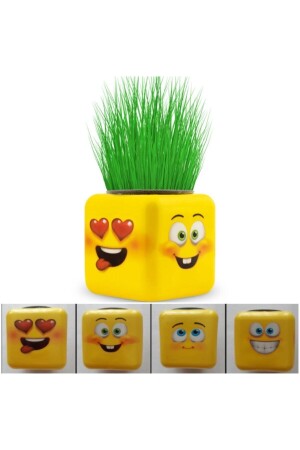 Cube Grass Man Box mit 24 006 Stück - 3