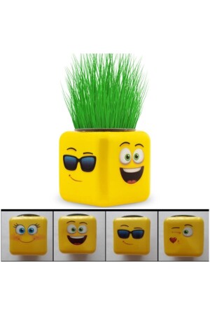 Cube Grass Man Box mit 24 006 Stück - 4