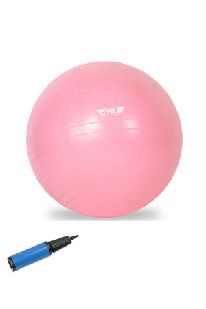 Cwa-2045 Pilates-Ball 65 cm rosa - 1