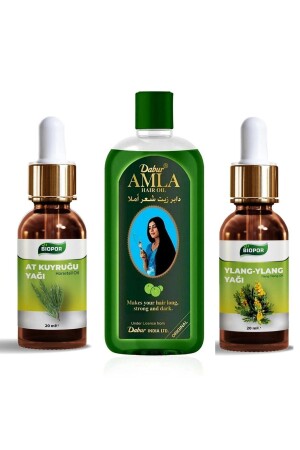 Dabur Amla Haarpflegeöl + Schachtelhalmöl Pure + Ylang Oil Pure Schnelles Verlängerungsset - 1