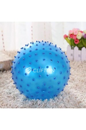 Deez Spiny Yoga Pilates Aerobic Gymnastikball 65 cm Lila + Pumpe - 1