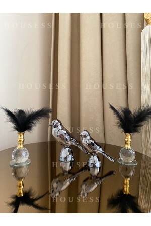 مجموعة مزينة من طيور و 2 أزرار زينة واحدة - Housess