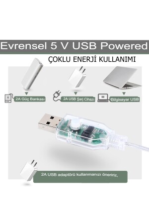 Dekoratif Aydınlatma Led Işıklı Perdesi 300 Led Bakır Tel Perde Dize Işıkları 8 Mod Uzaktan Kumanda HCG00187-3 - 9